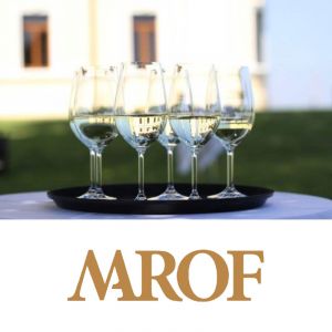 GRAN CRU premium degustacija za dve osebi, Posestvo Marof, Mačkovci (Vrednostni bon, izvajalec storitev: POSESTVO MAROF D.O.O.)