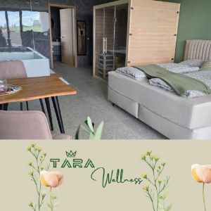 3-urno wellness razvajanje za 2 osebi v sobi Mint, TARA Wellness, Ormož (Vrednostni bon, izvajalec storitev: TARA RAČUNOVODSTVO IN TRGOVINA, BRIGITA ZOREC S.P.)