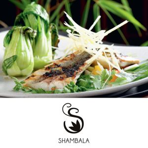 Vrednostni bon v vrednosti 50 €, Shambala, azijska restvaracija, Ljubljana (Vrednostni bon, izvajalec storitev: SHAMBALA, GOSTISTVO, D.O.O.)