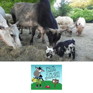 {[sl]:Družinska vstopnica za obisk mini živalskega vrta za 2 odrasla in do 3 otroke, Živalski park Na jasi, Sela pri Dobovi (Vrednostni bon, izvajalec storitev: UROŠ KEBE - NOSILEC DOPOLNILNE DEJAVNOSTI NA