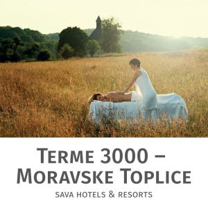 Masaža celega telesa Panonski travnik za 1 osebo, Terme 3000, Moravske Toplice (Vrednostni bon, izvajalec storitev: Terme 3000)
