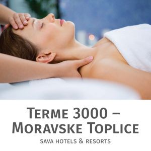 Antistresna masaža glave za 1 osebo, Terme 3000, Moravske Toplice (Vrednostni bon, izvajalec storitev: Terme 3000)