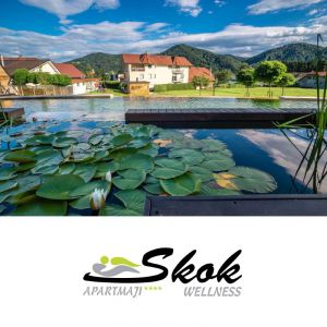 Romantična noč za 2 osebi, Skok, Mozirje (Vrednostni bon, izvajalec storitev: SKOK-M D.O.O.)