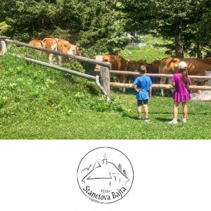 {[sl]:Družinski oddih v dvoje za 2 odrasla in do 3 otroke v koči na Veliki Planini, Koča Stanetova bajta, Velika Planina (Vrednostni bon, izvajalec storitev: ZASTOPNIŠTVO PRI PRODAJI IZDELKOV, MARTIN DUŠAK