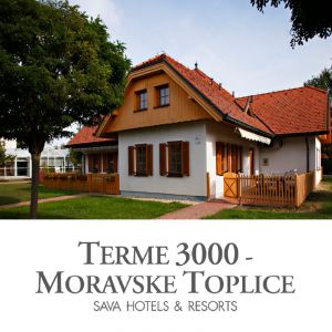 Oddih v prekmurski hiški za 2 osebi, Terme 3000, Moravske Toplice (Vrednostni bon, izvajalec storitev: Terme 3000)