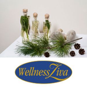 Aroma masaža celega telesa za 1 osebo, Wellness Živa, Rikli Balance hotel Bled (Vrednostni bon, izvajalec storitev: Hoteli Bled)