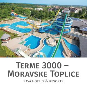 Celodnevno kopanje s kosilom za 2 osebi, Terme 3000, Moravske Toplice