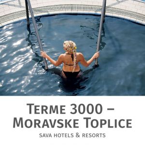 Celodnevno kopanje za 1 osebo, Terme 3000, Moravske Toplice