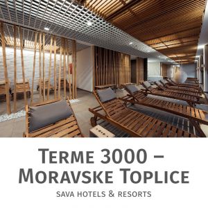Celodnevno kopanje s savno za 2 osebi, Terme 3000, Moravske Toplice