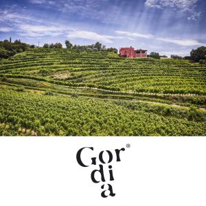 Degustacija vin in domačih dobrot za 2 osebi, Vino Gordia, Kolomban (Vrednostni bon, izvajalec storitev: ANDREJ CEP - NOSILEC DOPOLNILNE DEJAVNOSTI NA KM.)