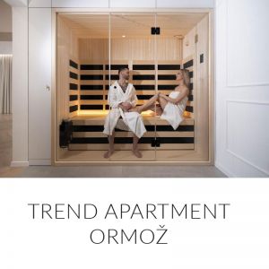 Sproščujoč 3-urni oddih v Trend Apartmentu s savno za dve osebi, Ormož (Vrednostni bon, izvajalec storitev: ADRIANA KELENC - SOBODAJALKA)