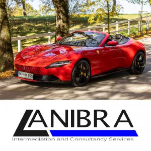 30 - minutna vožnja (Vrednostni bon, izvajalec storitev: LANIBRA d.o.o.) s superšportnim Ferrarijem za 1 osebo