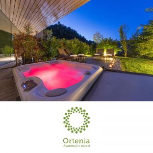Nočitev v Ortenii v dvoje, Ortenia Podčetrtek (Vrednostni bon, izvajalec storitev: MK PROJEKT, D.O.O.)
