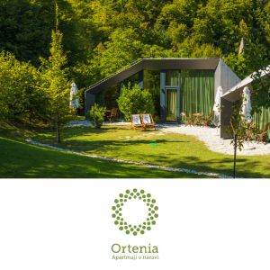 Vikend v Ortenii v dvoje, Ortenia Podčetrtek (Vrednostni bon, izvajalec storitev: MK PROJEKT, D.O.O.)