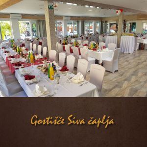 Vrednostni bon v vrednosti 100 €, Gostišče Siva čaplja, Trnovska vas (Vrednostni bon, izvajalec storitev: TRINKAUS JANKO S.P.)