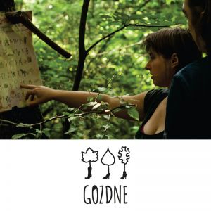 Adrenalinska igra - gozdni pobeg za odrasle, Gozdne, Ljubljana (Vrednostni bon, izvajalec storitev: GOZDNE, ZAVOD ZA SPROŠČANJE, REKREACIJO IN USTVARJ)