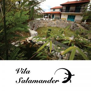 Mini oddih v dvoje v osrčju Krasa, Vila Salamander, Hruševica (Vrednostni bon, izvajalec storitev: VERMEI D.O.O.)