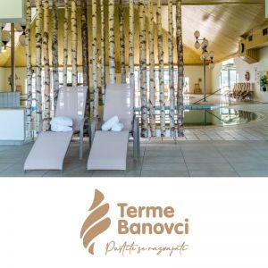 Celodnevno kopanje s savno in kosilom med tednom za 2 osebi, Terme Banovci (Vrednostni bon, izvajalec storitev: TERME BANOVCI, turizem in gostinstvo, d.o.o.)