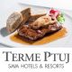 Celodnevno kopanje s kosilom za 2 osebi, Grand hotel Primus, Terme Ptuj (Vrednostni bon, izvajalec storitev: Terme Ptuj)