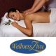 Klasična masaža z olji gorskih zelišč za 1 osebo, Wellness Živa, Rikli Balance hotel Bled (Vrednostni bon, izvajalec storitev: Hoteli Bled)