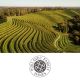 Vinska degustacija za dve osebi v vinski kleti Puklavec Family Wines, Puklavec Family Wines, Ormož (Vrednostni bon, izvajalec storitev: Puklavec Family Wines d.o.o.)