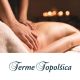 Antistresna masaža za eno osebo, Terme Topolšica, Topolšica (Vrednostni bon, izvajalec storitev: TERME TOPOLŠICA, D.D.)