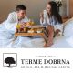 Vrednostni bon za 100 eur, Terme Dobrna, Dobrna (Vrednostni bon, izvajalec storitev: TERME DOBRNA D.D.)