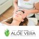 Masaža po izbiri za 1 osebo, Lepotni center Aloe Vera, Ljubljana (Vrednostni bon, izvajalec storitev: LEPOTNI CENTER ALOE VERA d.o.o.)