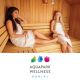 Celodnevno kopanje in savna za dve osebi, Aquapark & Wellness Bohinj, Bohinjska Bistrica (Vrednostni bon, izvajalec storitev: SHD,DRUŽBA ZA UPRAVLJANJE D.O.O.)